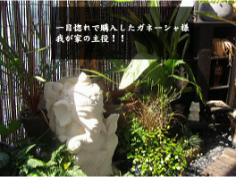 kem's　garden